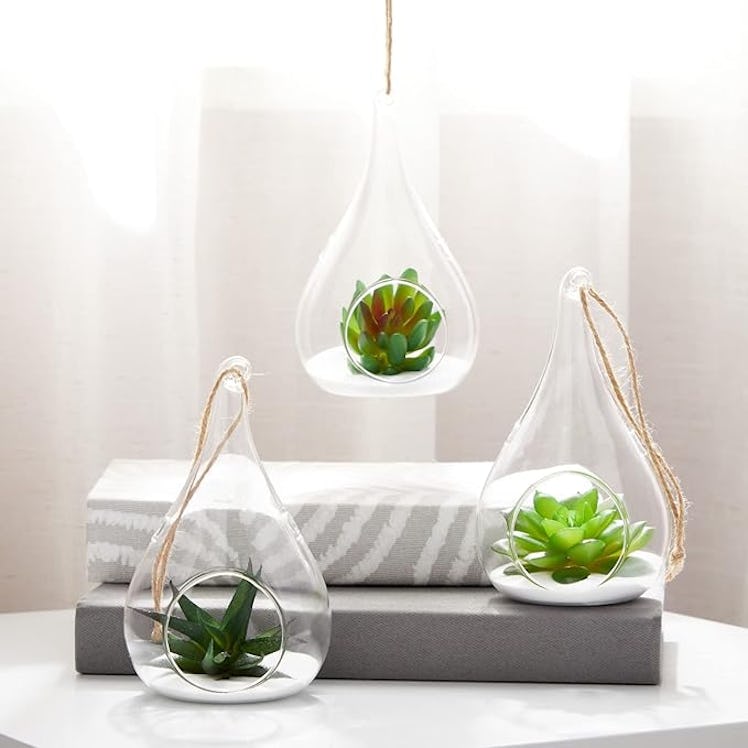 Juvale Hanging Glass Terrarium Containers (5-Pack)