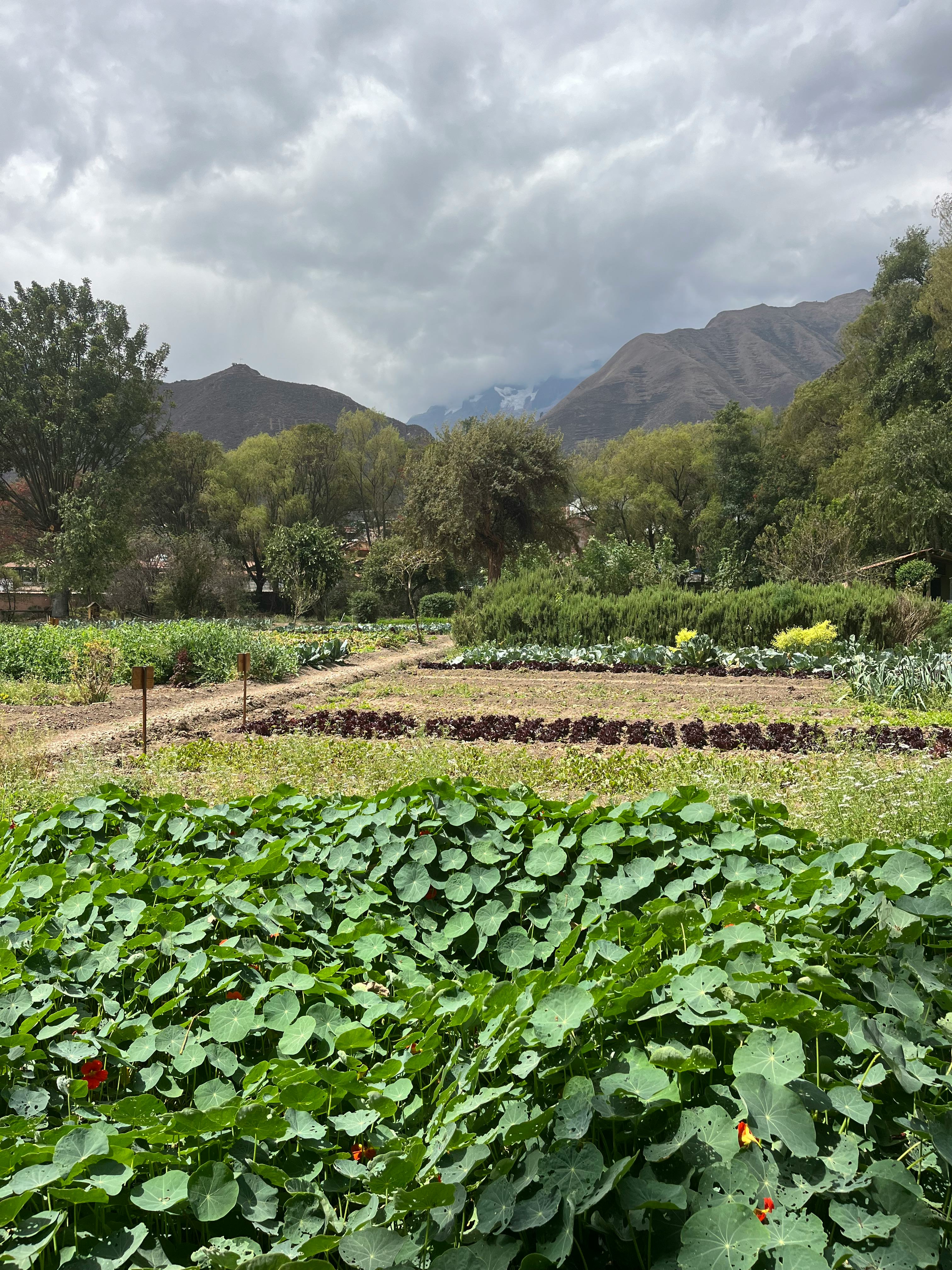 Tambo del Inka’s on-site garden, used to source most of the produce served at the property’s restaur&hellip;