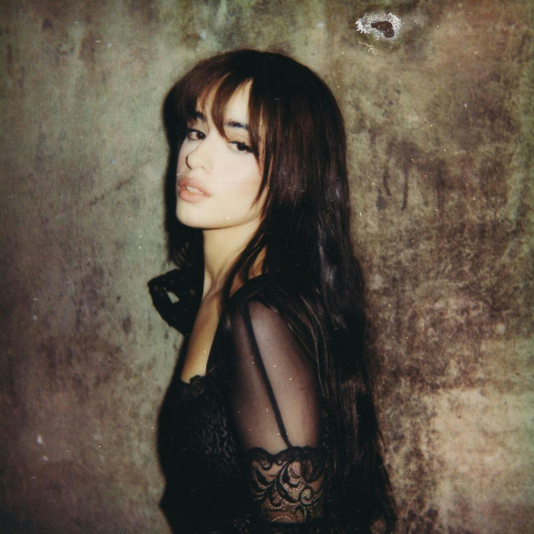 Camila Cabello wears a sheer lacy dress.