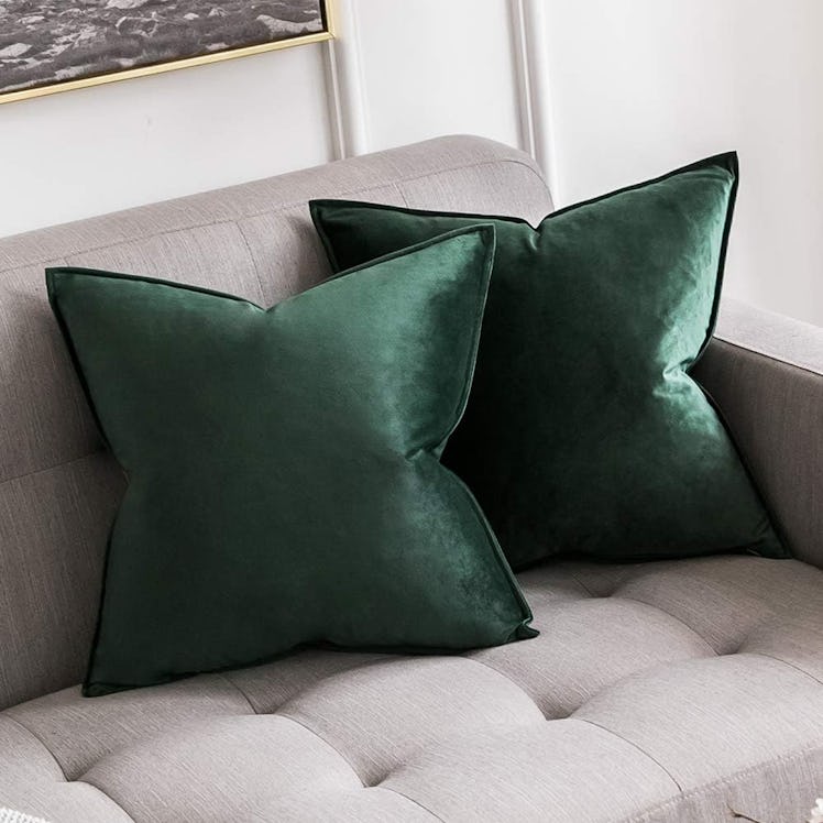 MIULEE Decorative Velvet Throw Pillows (2-Pack)