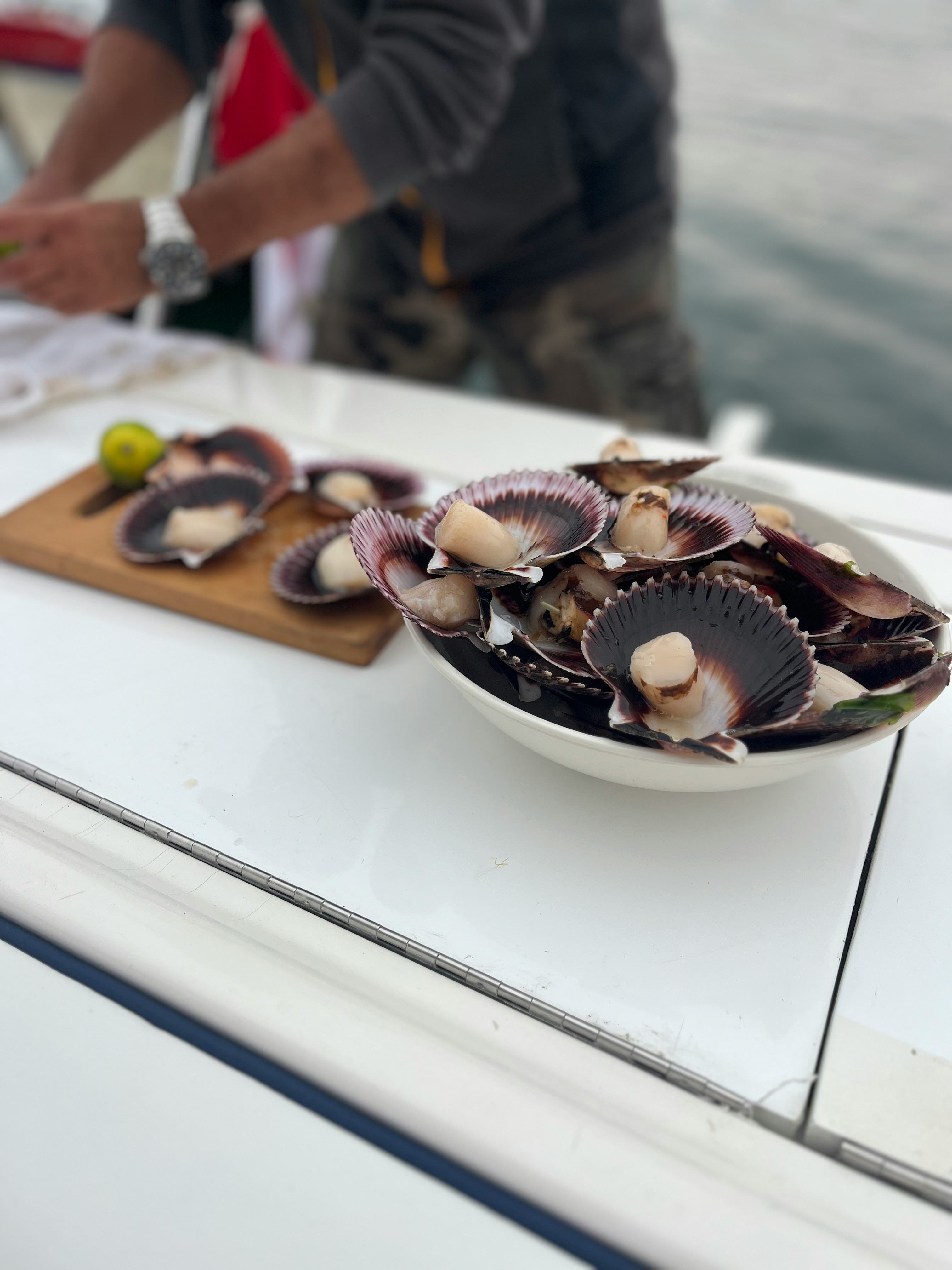 Scallops in Paracas, Peru.
