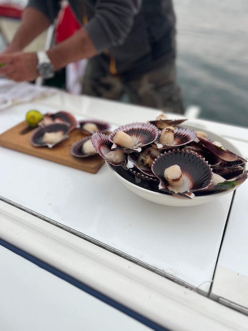 Scallops in Paracas, Peru.