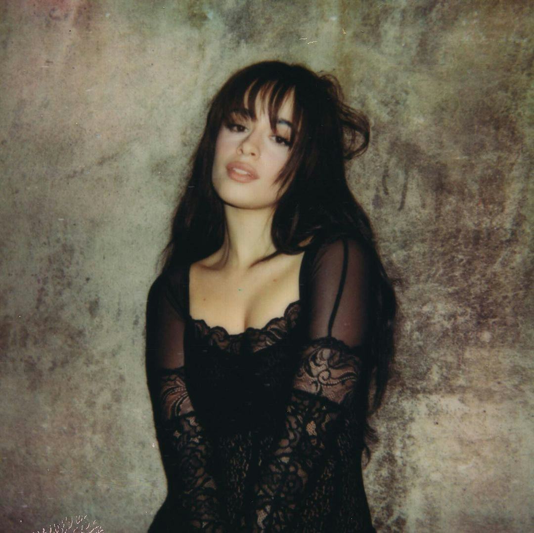 Camila Cabello wears a sheer lacy dress.