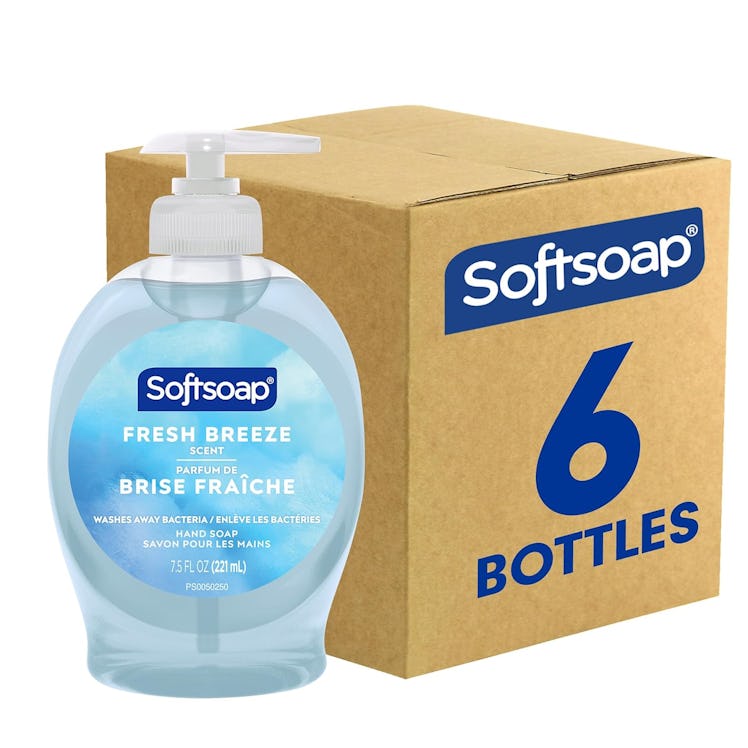 Softsoap Liquid Hand Soap (6-Pack)