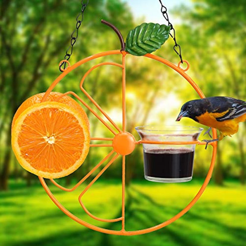 ALLADINBOX Oriole Bird Feeder