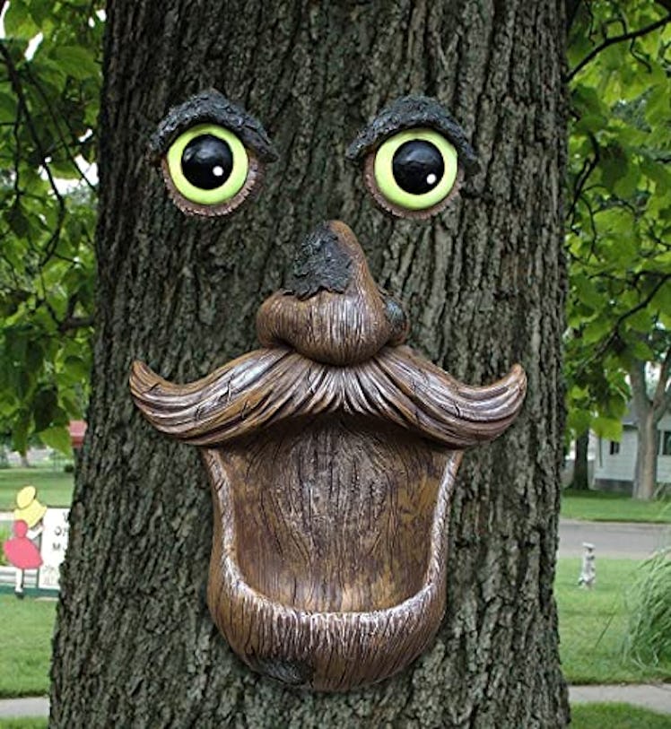 ALLADINBOX Tree Face Bird Feeder