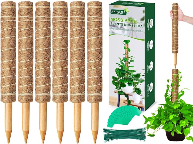 EAONE Moss Poles for Plants (6-Pack)