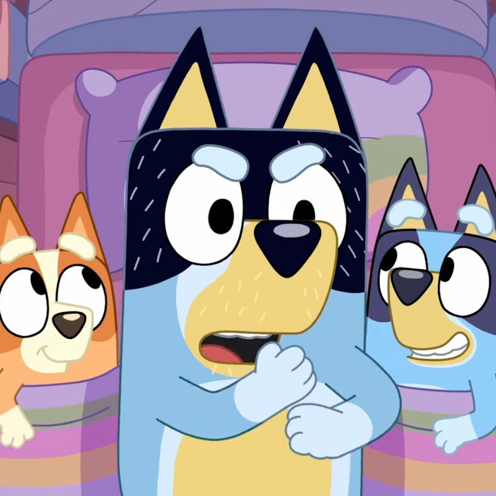 Bingo, Bandit, and Bluey are sitting on a bed. Bandit looks thoughtful, while Bingo looks curious an...
