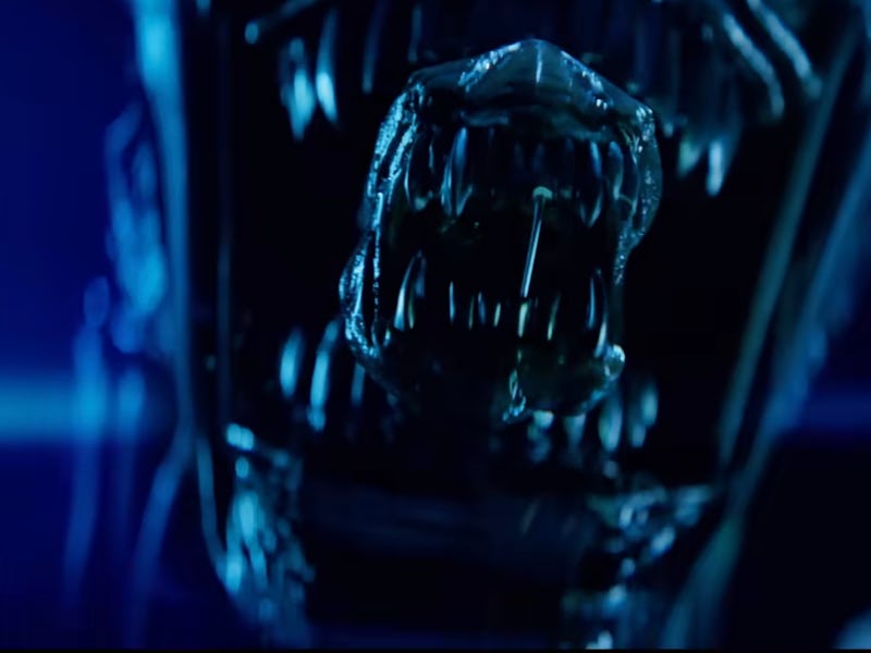 A xenomorph from 'Alien: Earth.'