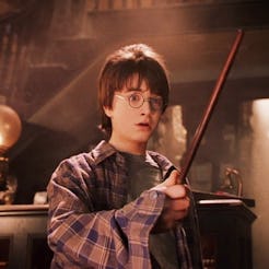 Daniel Radcliffe in 'Harry Potter'