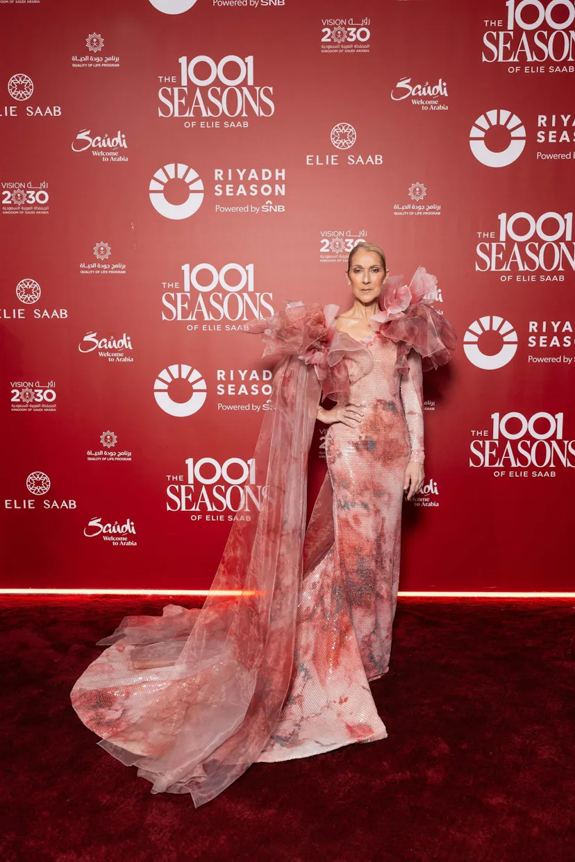 celine dion mesh dress Celine Dion's Spiciest Outfits Are Head Turning