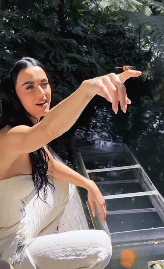 Katy Perry wore a bustier crop top.