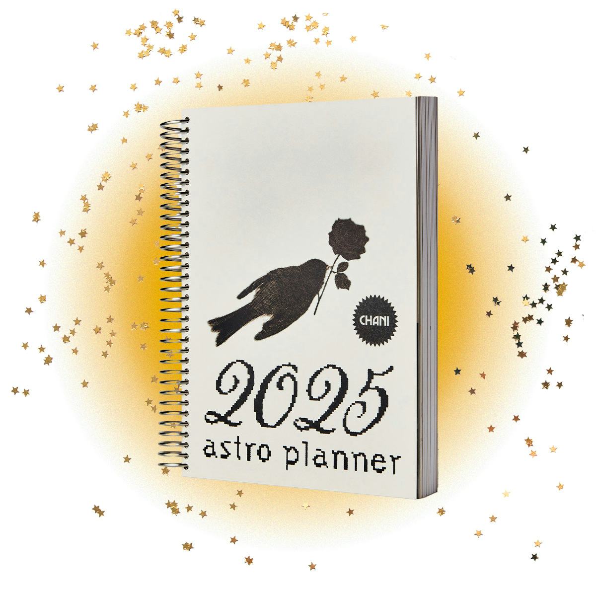 The 2025 Astro Planner