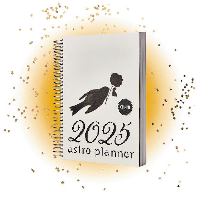 The 2025 Astro Planner