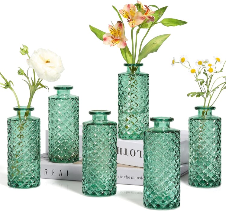 ComSaf Glass Bud Vases (Set of 6)