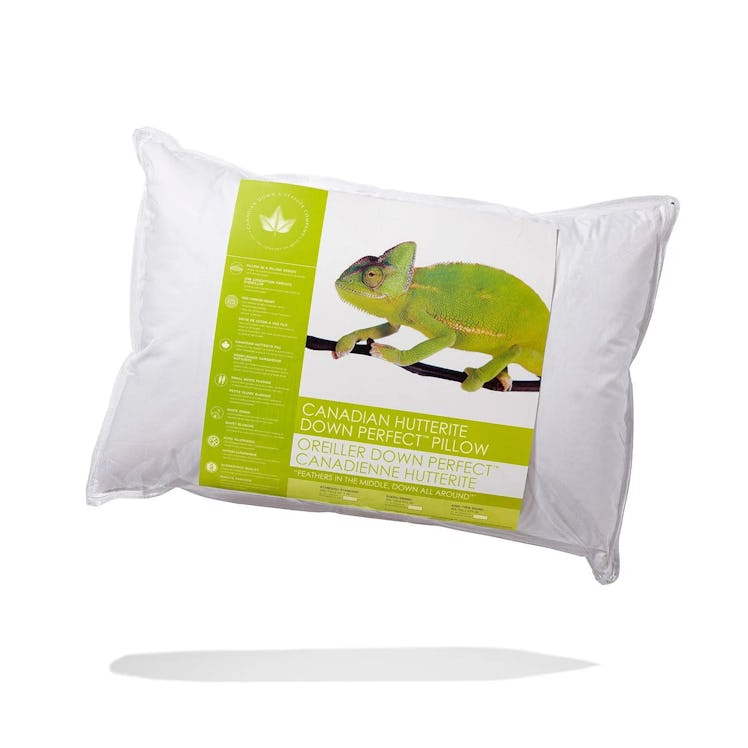 Canadian Down & Feather Company Hutterite Down Perfect Pillow