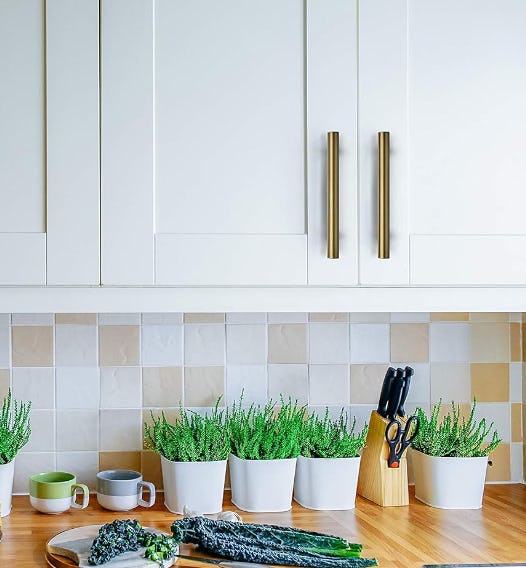 Ravinte Cabinet Pulls (30-Pack)