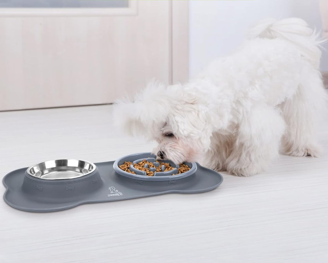 Pecute No Spill Slow Feeder