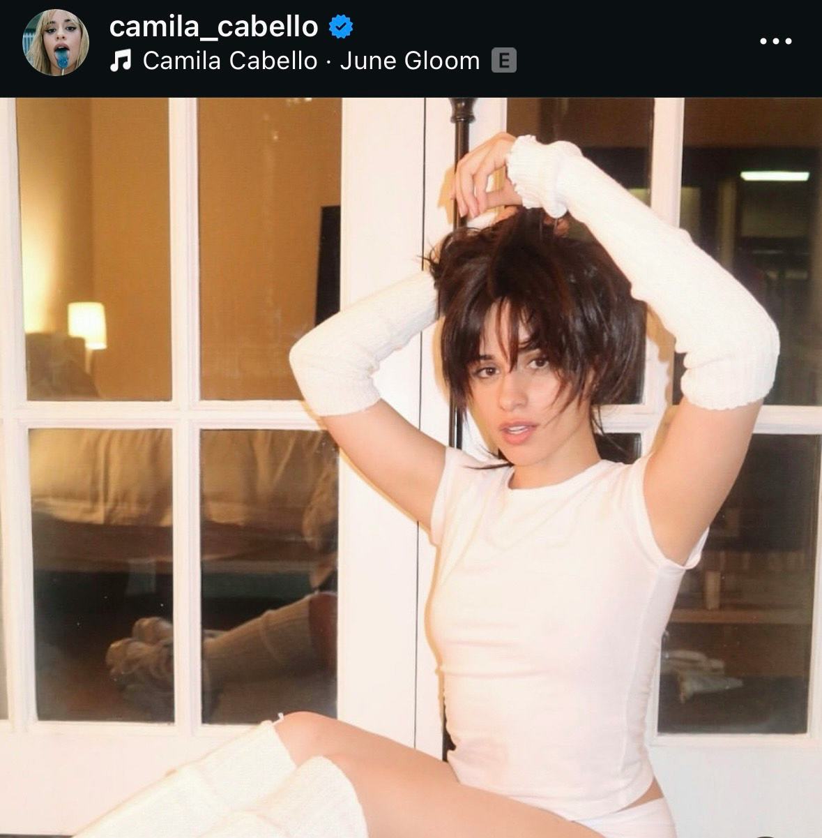 Camila Cabello Wore Tighty-Whities With Ballerina-Core Staples