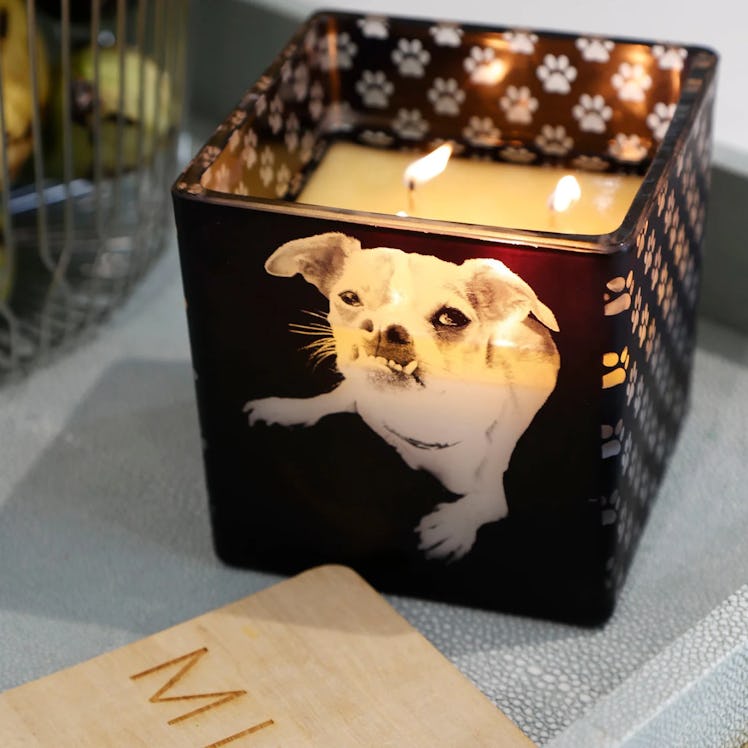 TAJA Collection Custom Pet Candle, 8 Oz.