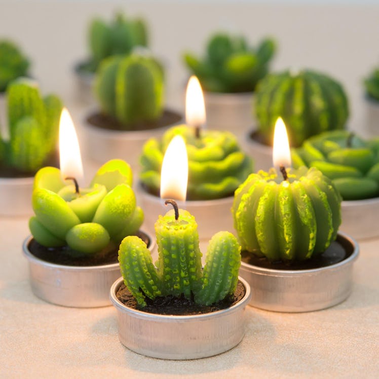 COCOMOON Succulent Candles (6-Pack)