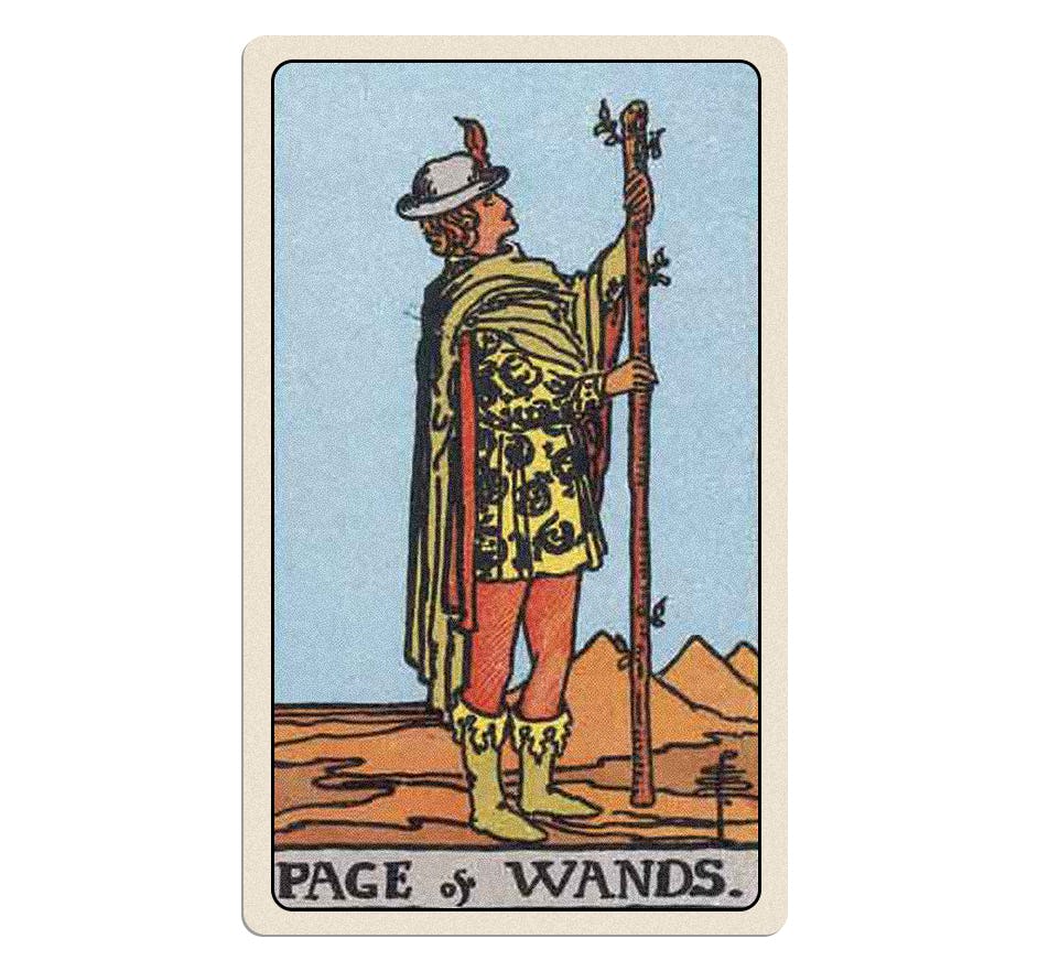 Your tarot pull for Friday, November 29, 2024 is the Page of Wands.
