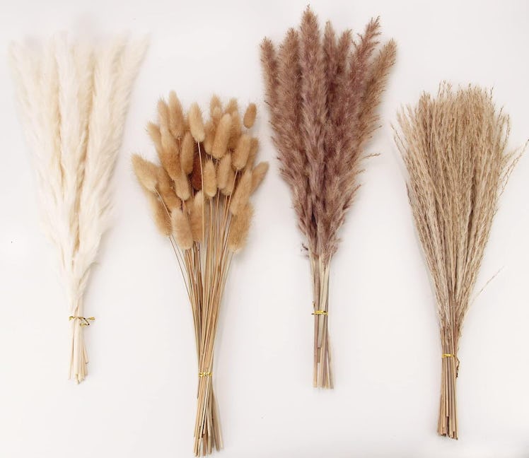 ANPROOR Dried Pampas Grass Bundles (4-Pack)