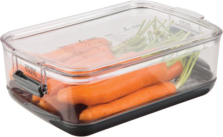 Prepworks by Progressive Produce Container