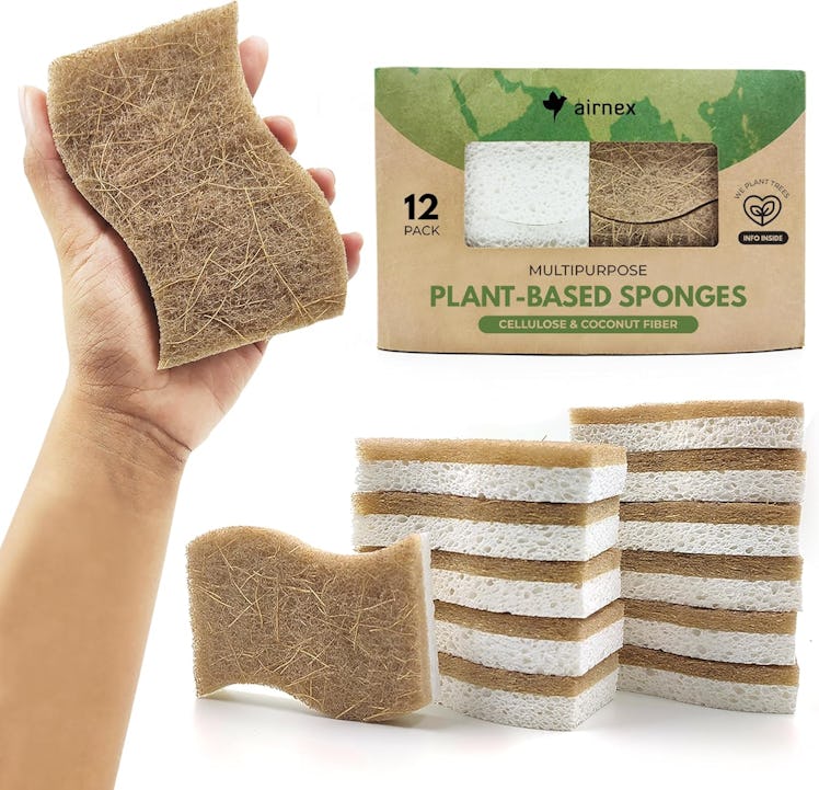 AIRNEX Natural Kitchen Sponge (12-Pack)