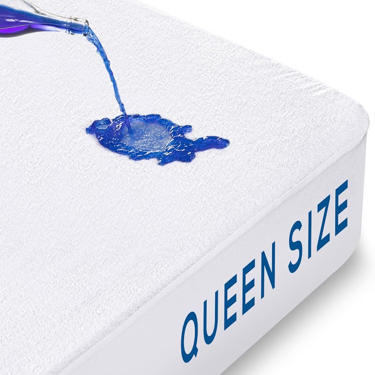 Utopia Bedding Queen-Size Mattress Protector