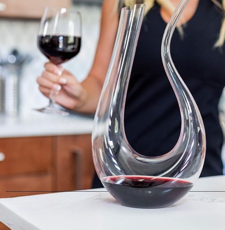 HiCoup Red Wine Decanter