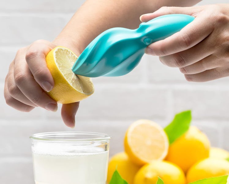 OTOTO Octo Citrus Reamer 