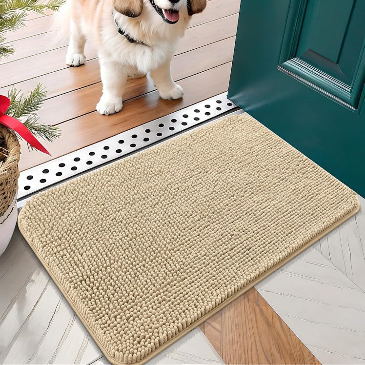 OLANLY Absorbent Doormat