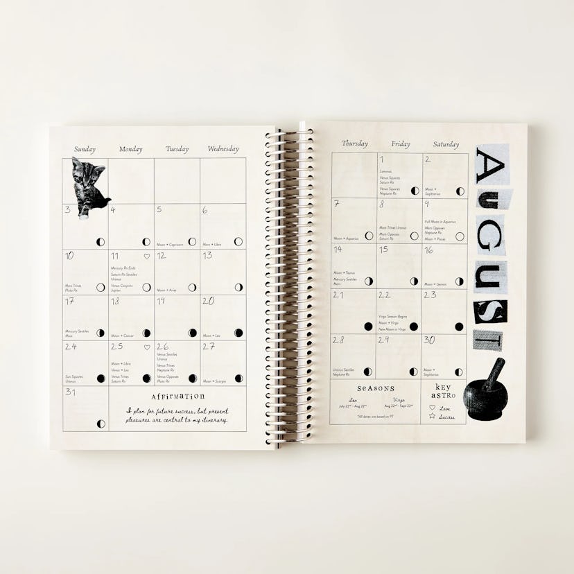 Chani 2025 Astro Planner