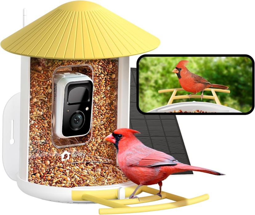 Netvue by Birdfy Solar Power Smart Feeder with Camera 