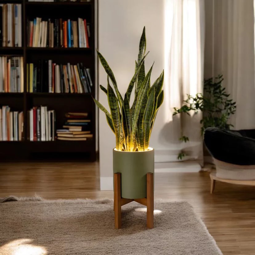 Blüme Light | LED Planter | Aura