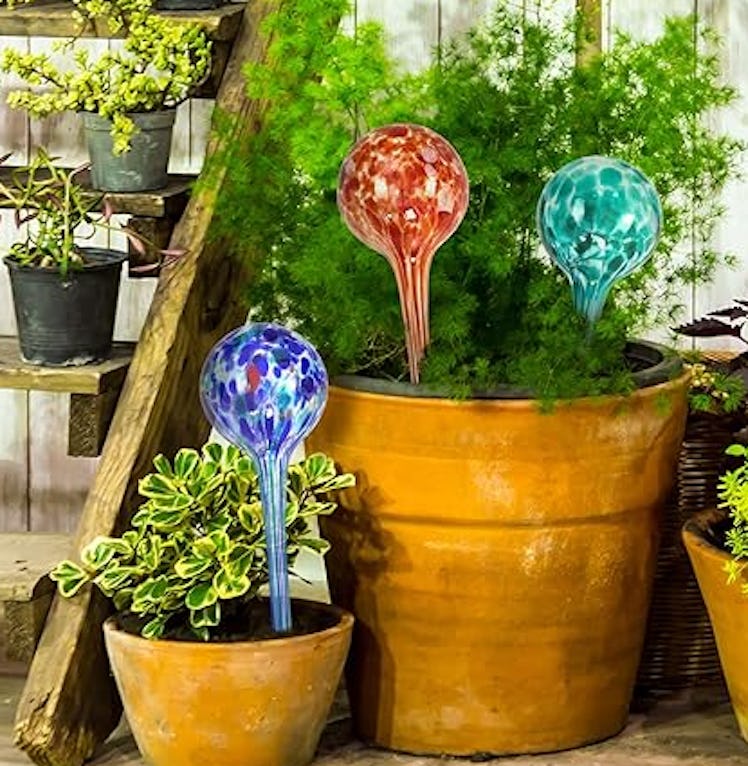 Blazin' Bison Indoor Plant Watering Globes (4-Pack)