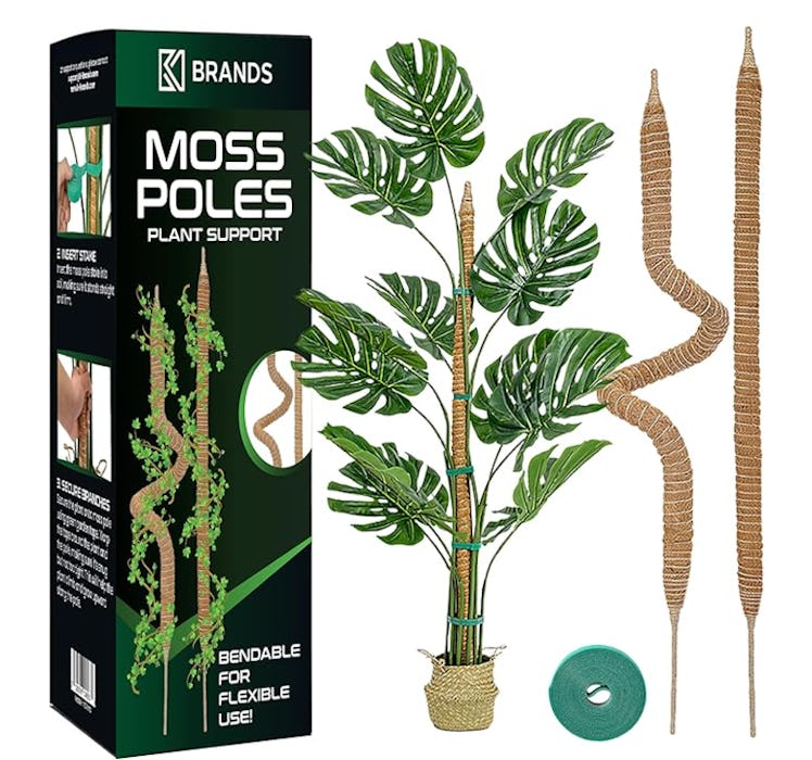 K-Brands Plant Moss Pole (2-Pack)