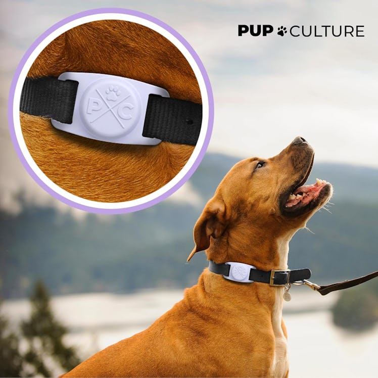 Pup Culture AirTag Dog Collar Holder