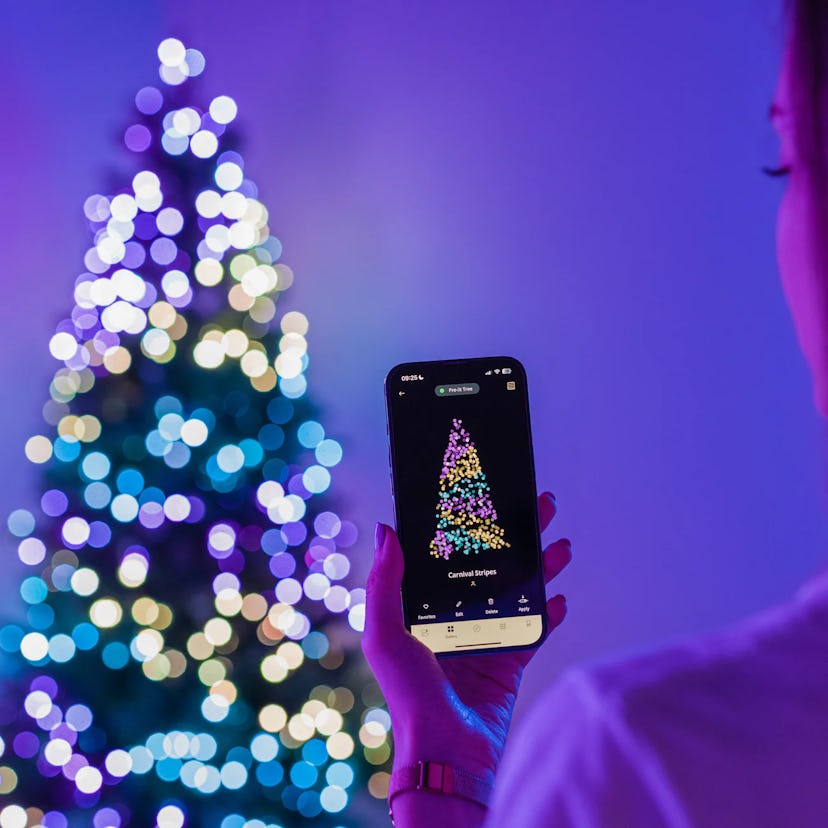 Twinkly Lights