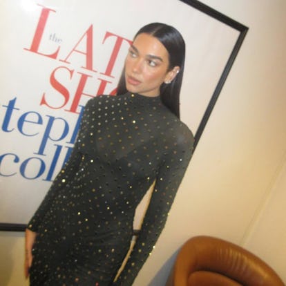 Dua Lipa's Sheer Alaia Dress Exposed Her Bra