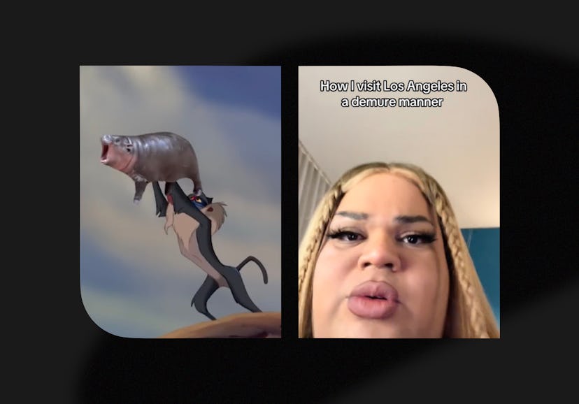 All the best memes from 2024.