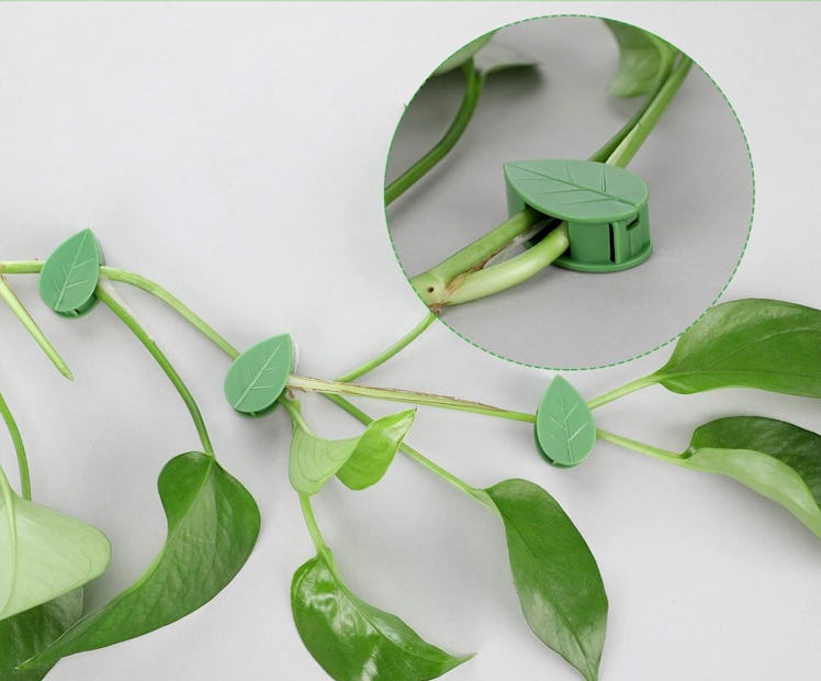  Geiserailie Plant Wall Clips (60 Pieces)