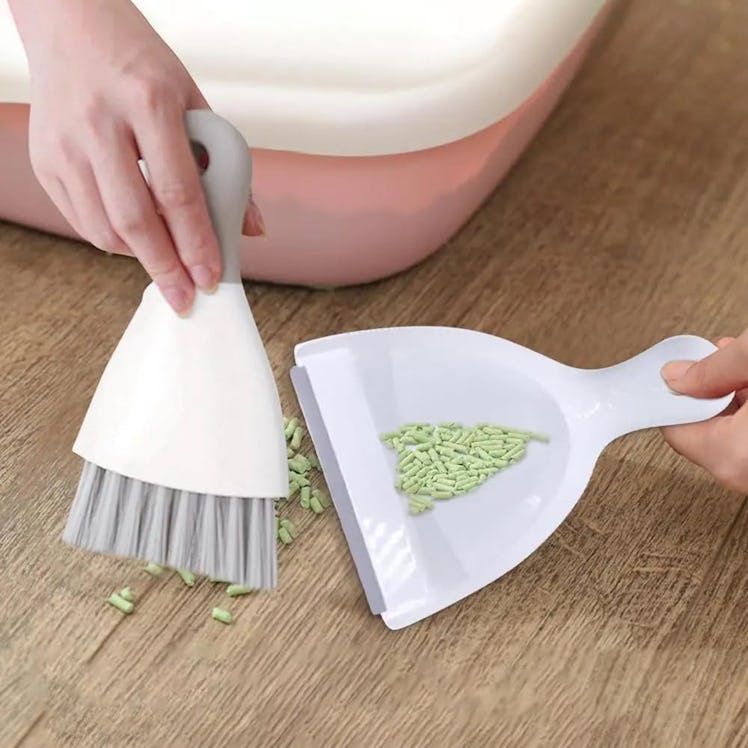 WDDBHSKN Dust Pan & Brush Set