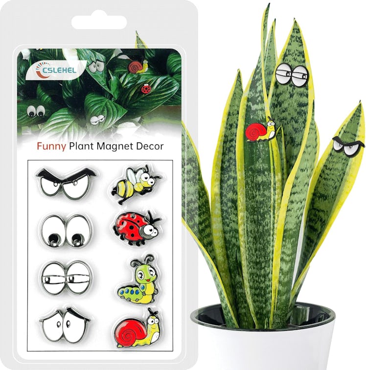 Cslehel Plant Magnet Eyes (8 Pieces)