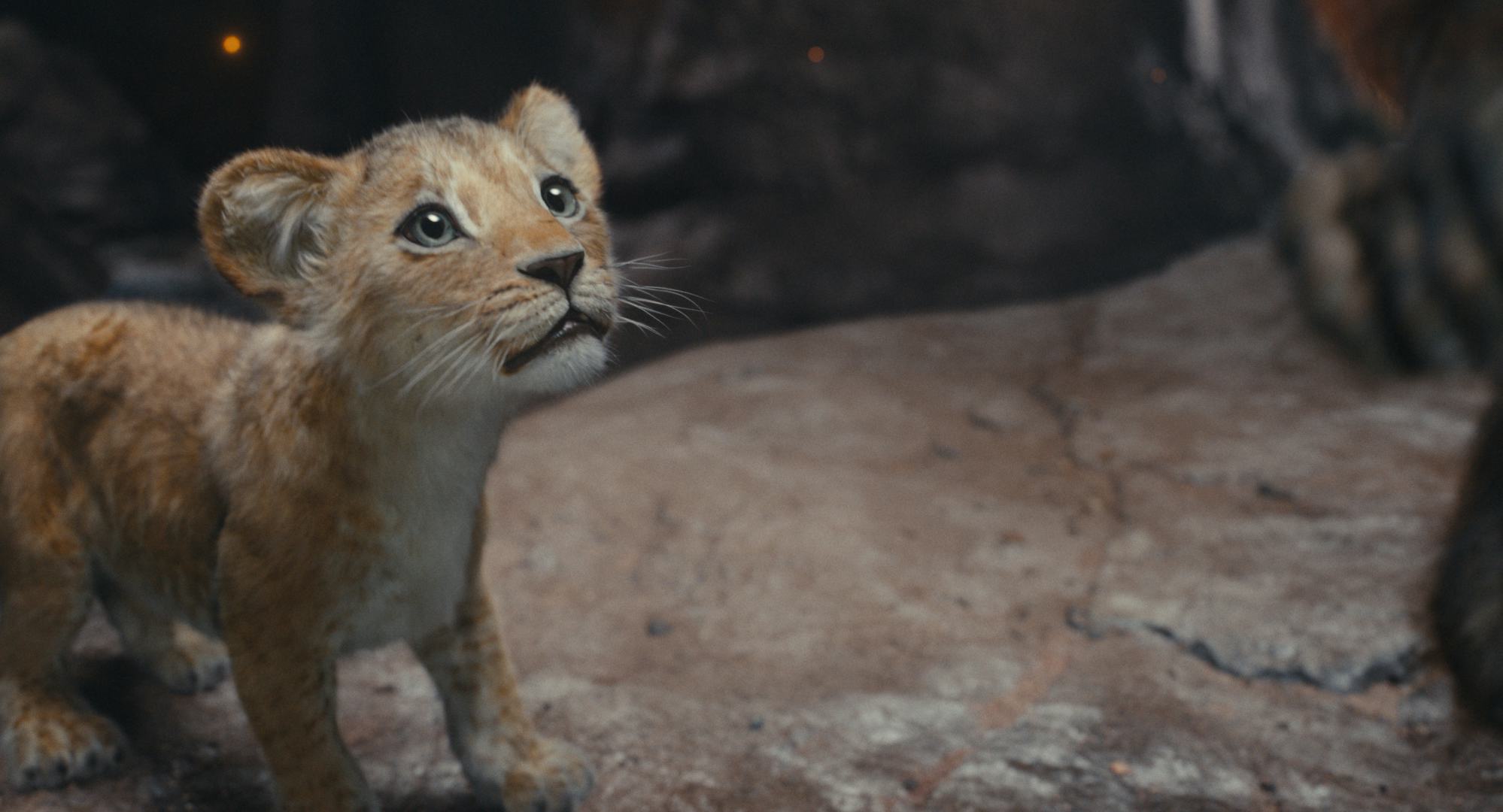 Blue Ivy Carter&rsquo;s Kiara in &lsquo;Mufasa: The Lion King&rsquo;
