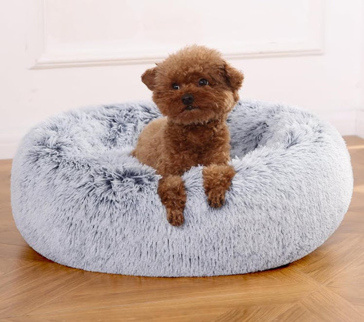 Amazon Basics Donut Pet Bolster Faux Fur Bed