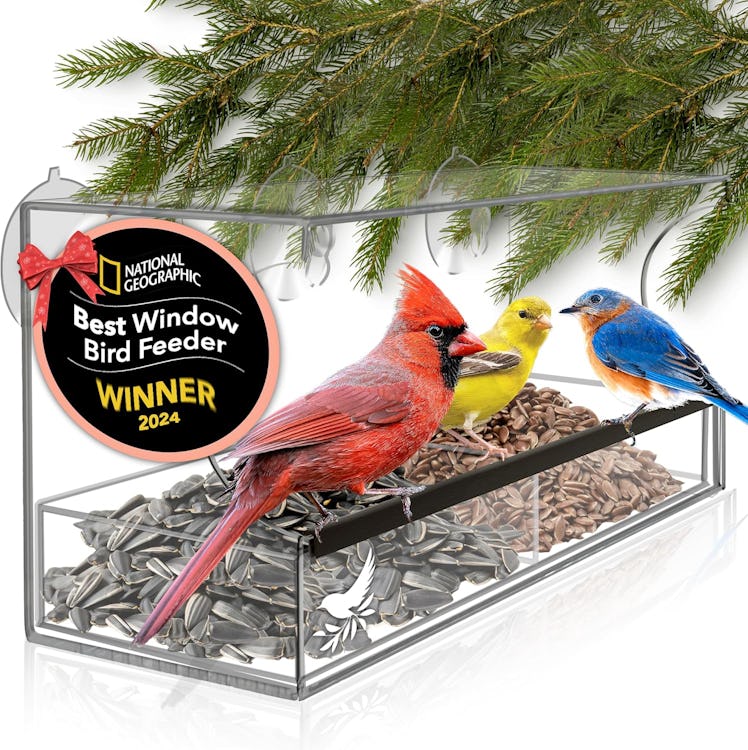 Nature's Hangout Suction Window Bird Feeder