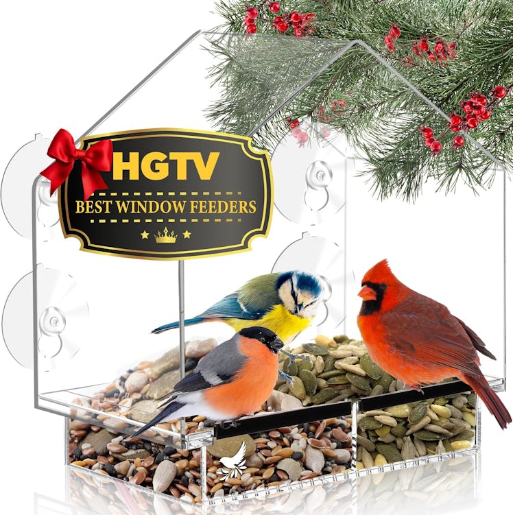 Nature's Hangout Suction Window Bird Feeder House