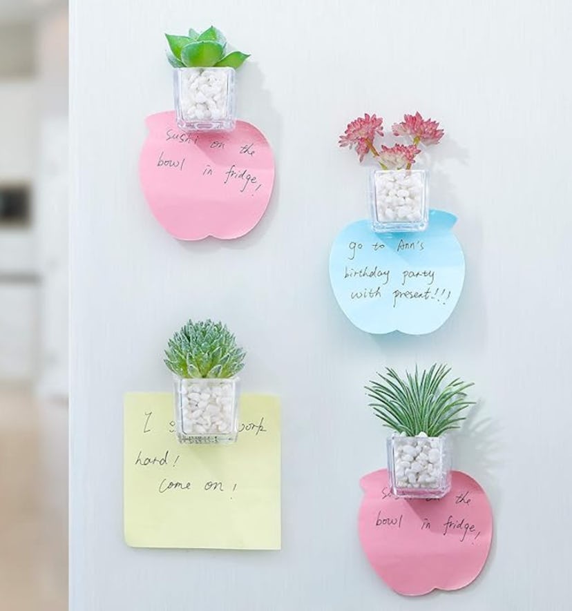 HEY FOLY Plant Fridge Magnets (4-Pack)